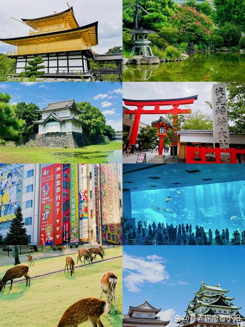 日本夏天旅游最佳地点？日本夏季旅游？