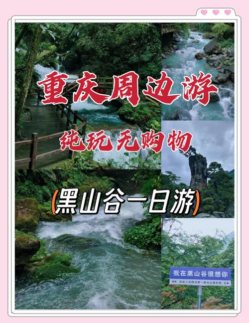 国庆重庆旅游住宿最佳方案,重庆过年旅游推荐住宿