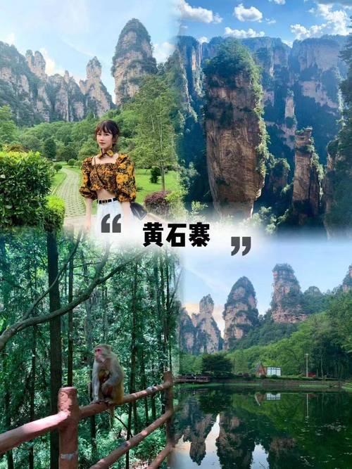 去张家界旅游跟团好还是自助游好