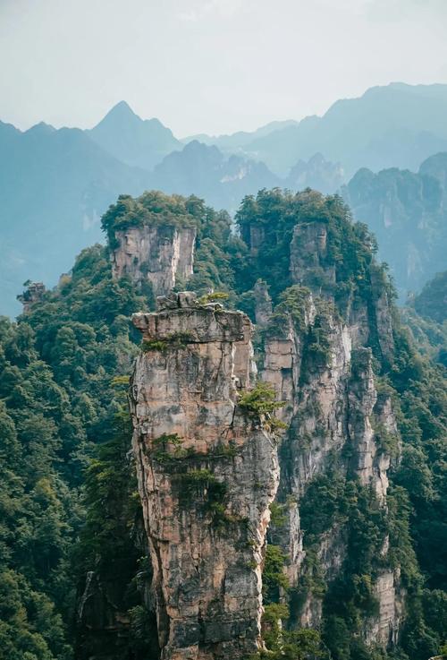 张家界国家森林公园怎么玩?这前十网红景点必须打卡