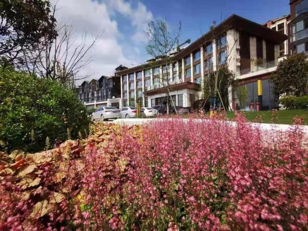 赤水避暑房有哪些楼盘