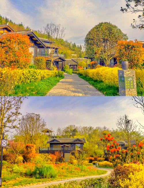 贵州毕节百里杜鹃度假村怎么样