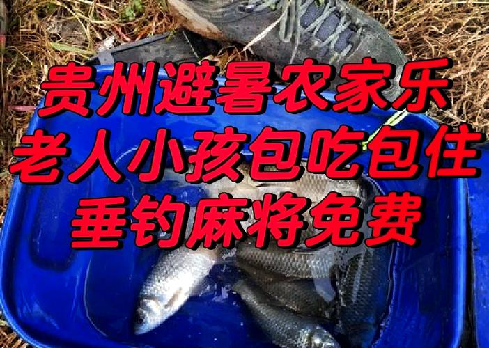 昭通昭阳区的房租一般多钱一个月