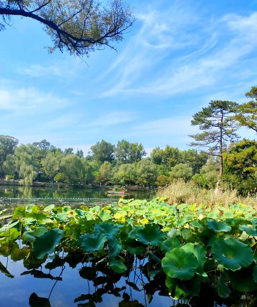 承德避暑山庄夏天凉快吗,承德避暑山庄真的不热吗
