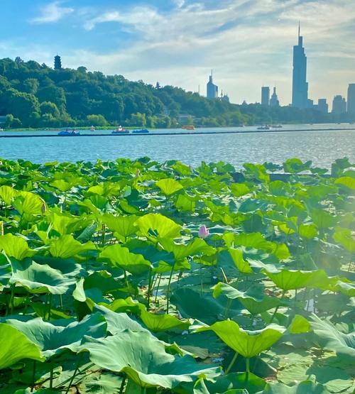 南京夏天避暑最佳旅游地推荐