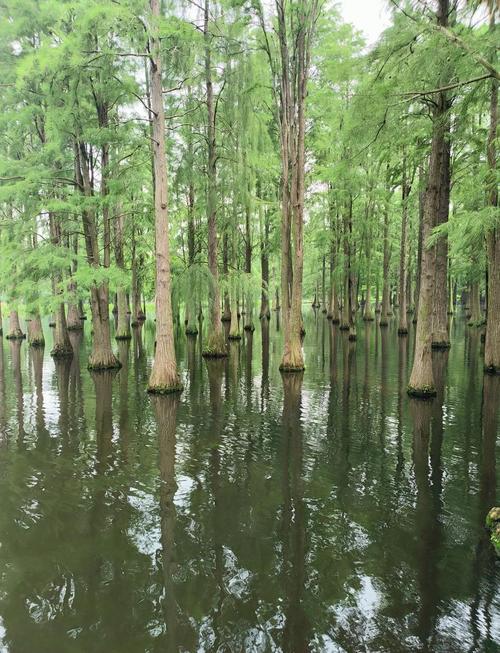 上海周边避暑胜地推荐？上海周边避暑的好地方有哪些？