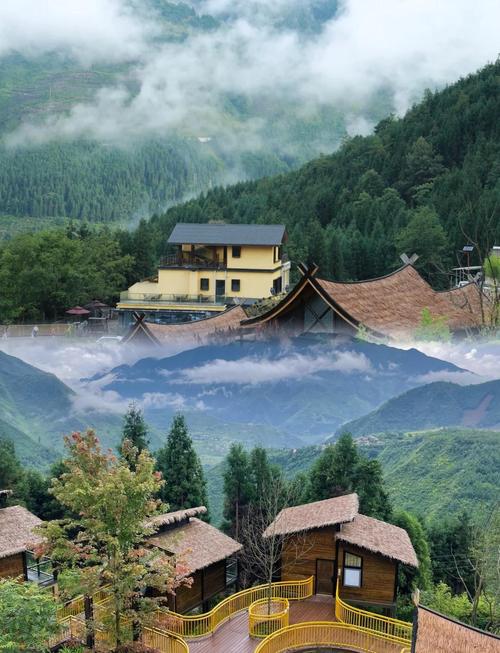 川内带娃避暑有哪些地方,迷都酒店在黑竹沟景区里吗