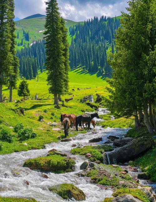 新疆有哪些新晋的夏季避暑胜地?