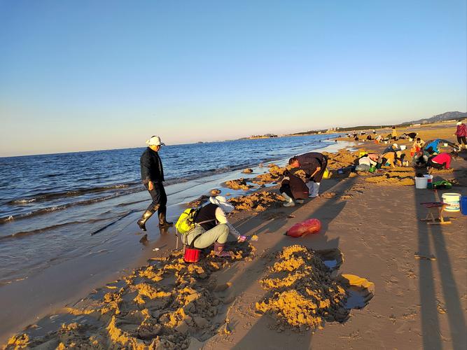 浙江适合带孩子免费赶海的地方