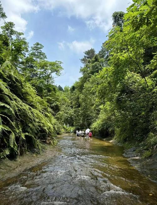 成都避暑比较好的地方是哪里,成都最佳避暑胜地?