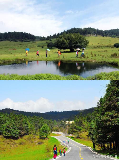 重庆周边避暑比较好的地方