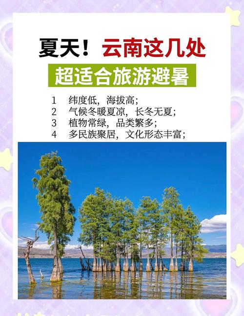 云南夏天最凉快的城市
