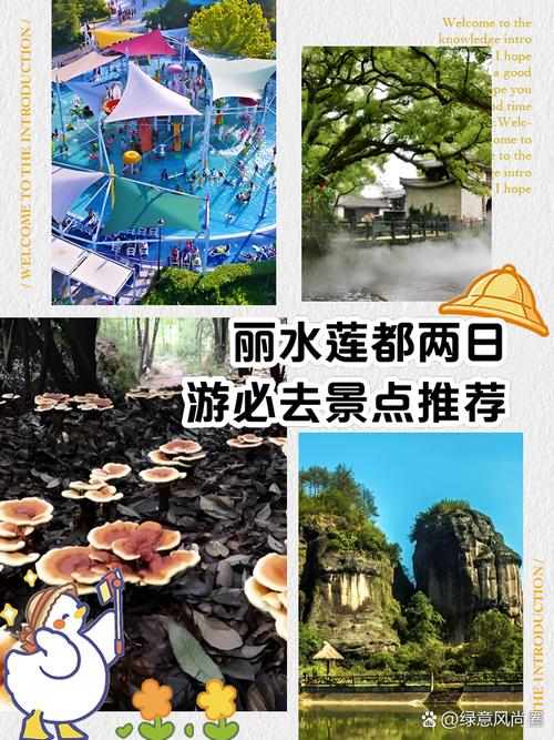 莲都避暑旅游景点推荐？莲都风景区？