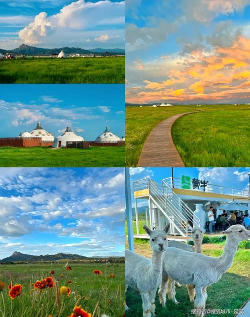 内蒙草原几月去