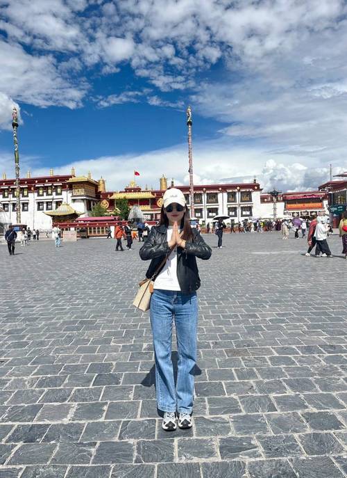 去西藏自由行攻略，去西藏自由行攻略图？