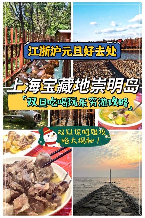 崇明岛一日旅游攻略(崇明岛一日游旅游攻略)