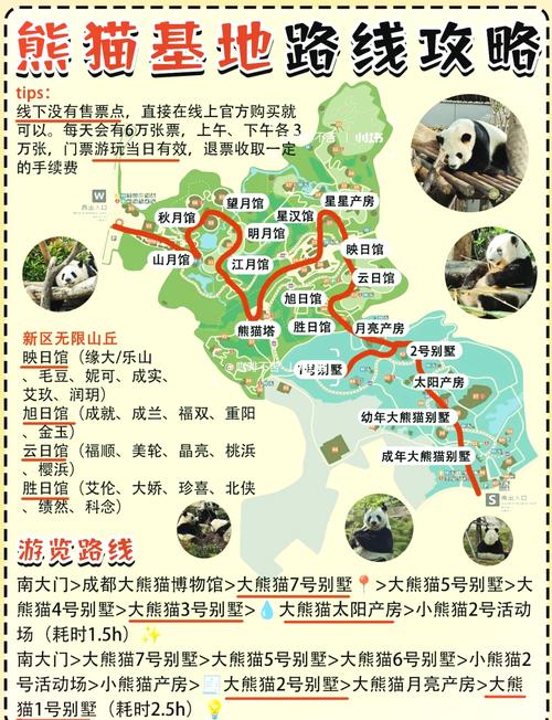 熊猫基地之旅游记(熊猫基地旅游攻略)