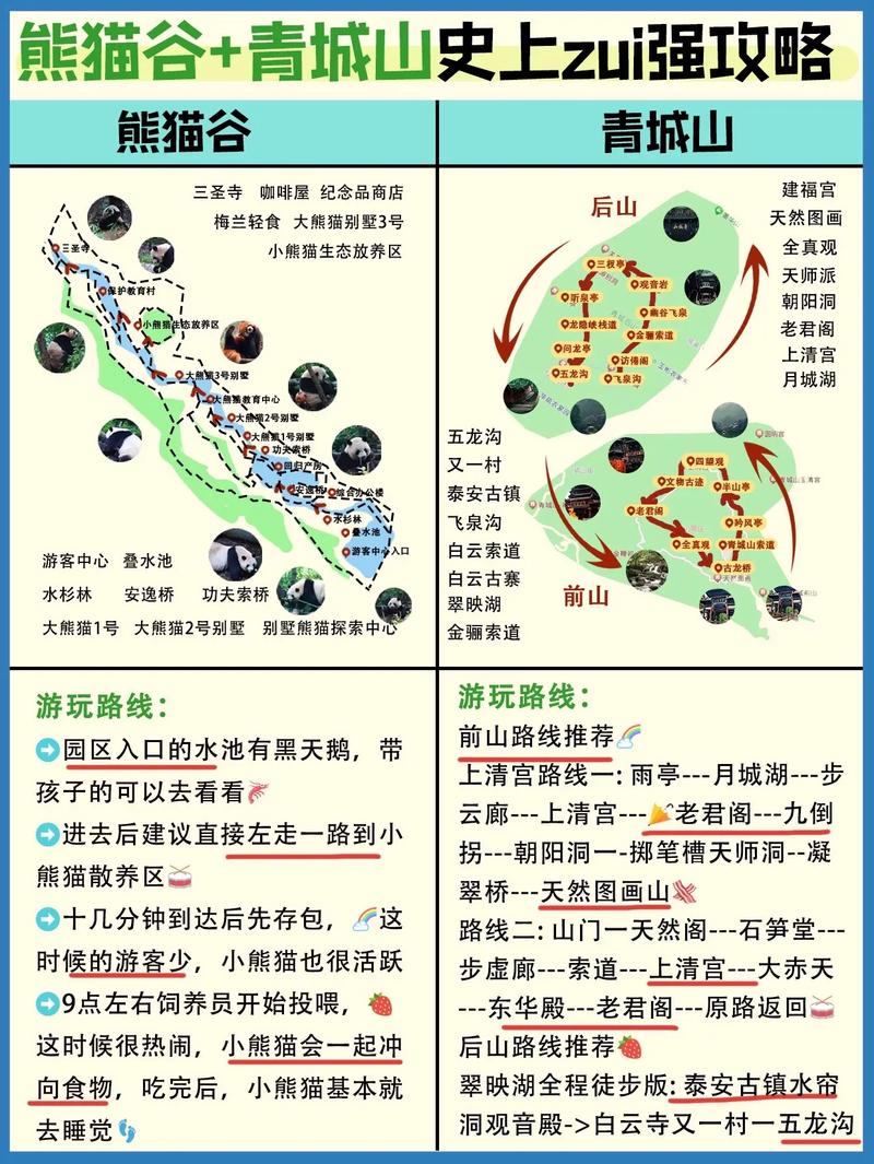 来成都玩熊猫基地一定要知道的事儿——熊猫基地最新旅游攻略