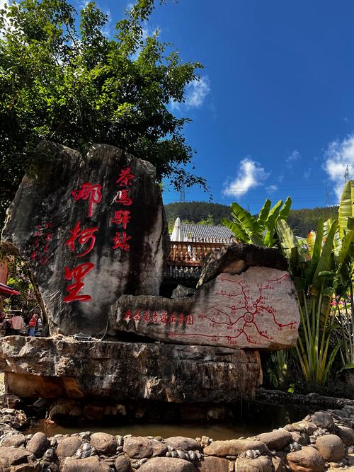 普洱森林住宿攻略,家人普洱旅游攻略