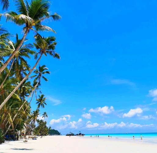 8月上旬长滩岛旅游攻略(长滩岛自由行旅游攻略)