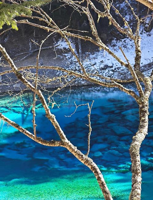 成都到九寨沟旅游攻略自由行攻略