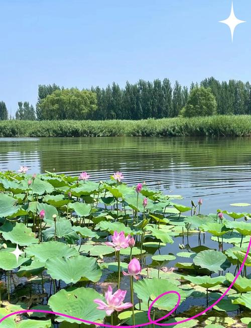 保定旅游攻略，保定旅游攻略三天两夜