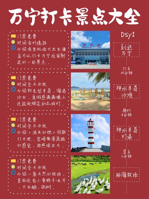 海口到万宁旅游(海口到万宁旅游攻略必去景点)