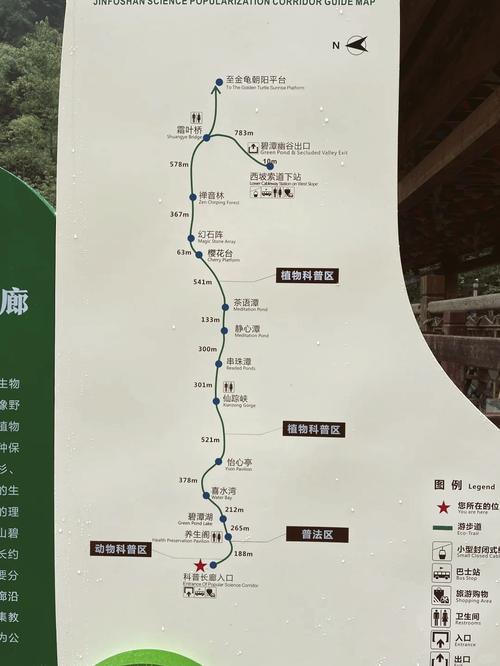 金佛山一日游详细攻略