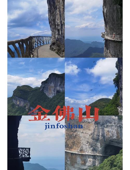 金佛山旅游攻略