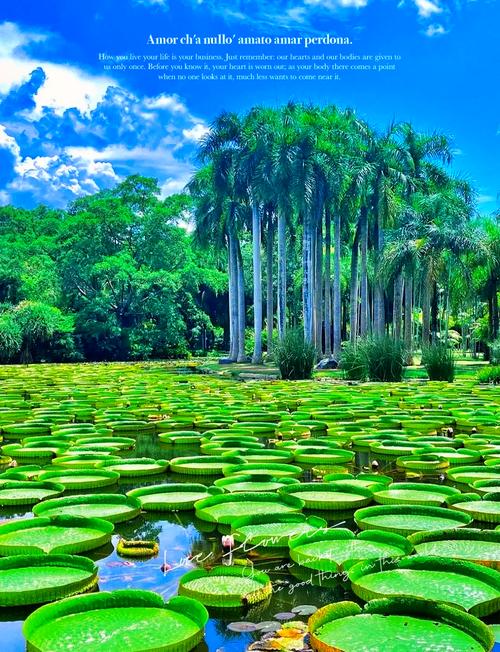 云南西双版纳旅游，云南西双版纳旅游安全吗？