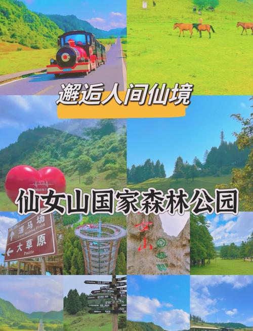 武隆仙女山一日游攻略