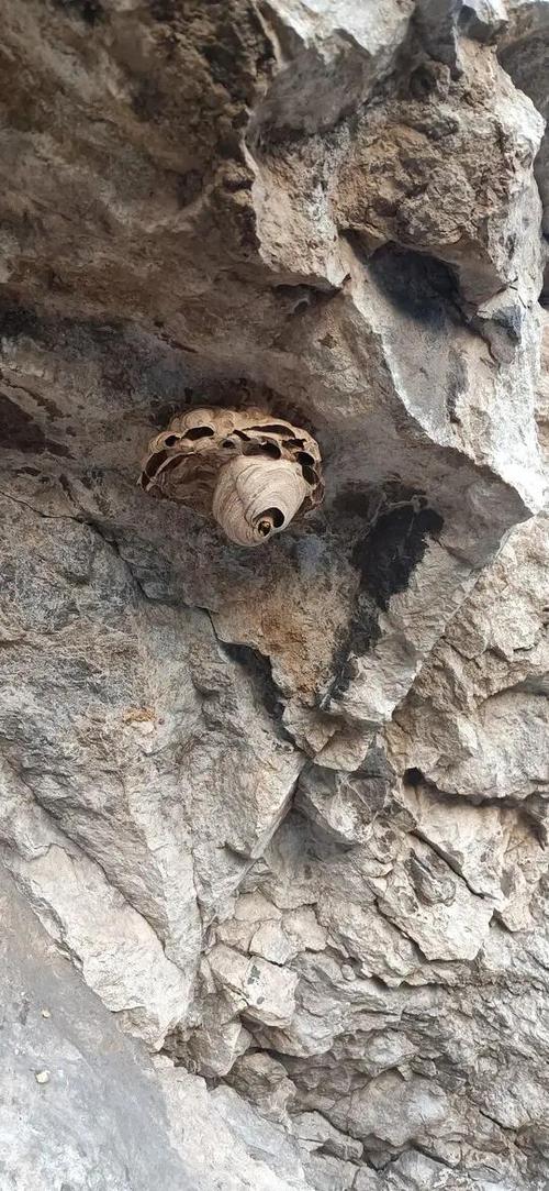 马蜂窝旅游三日游攻略