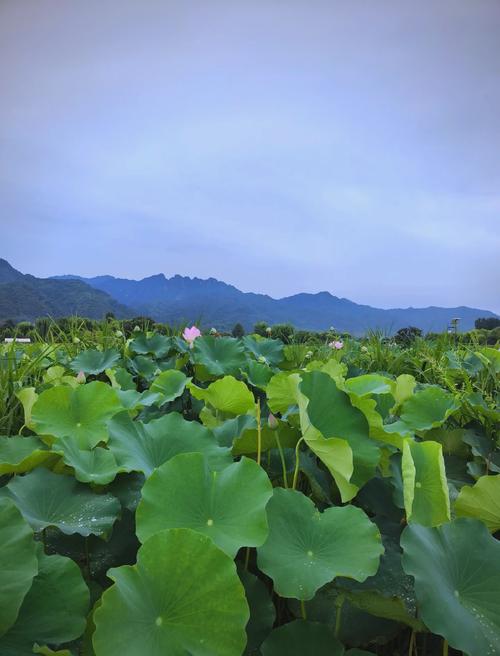西安周边适合带孩子旅游的地方