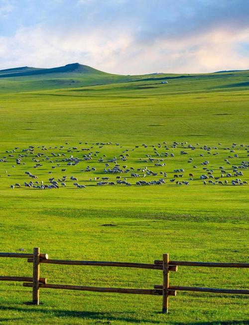 呼伦贝尔草原旅游攻略