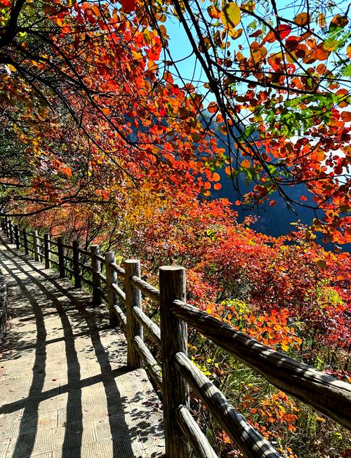 巫山看红叶攻略，巫山赏红叶的线路