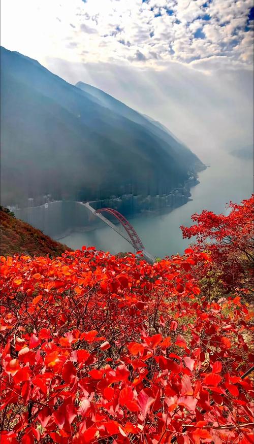 巫山看红叶自助游攻略